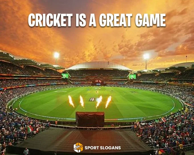Cricket Bat Slogans