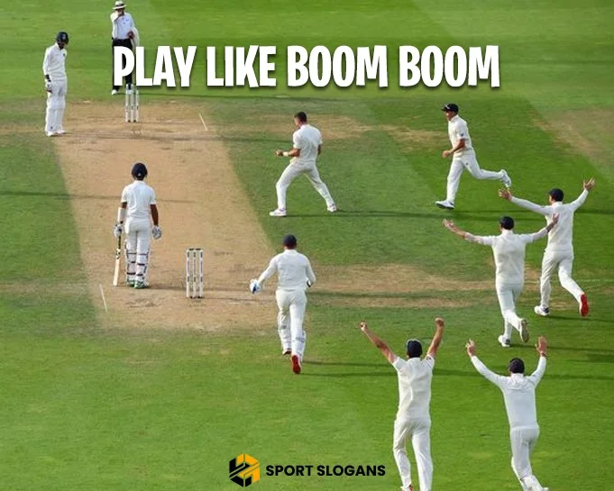 Funny Cricket Slogans