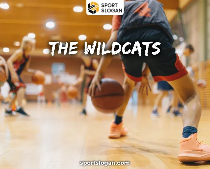 Catchy Basketball Team Names