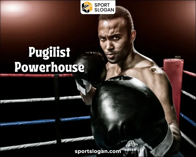 Catchy Boxing Team Names