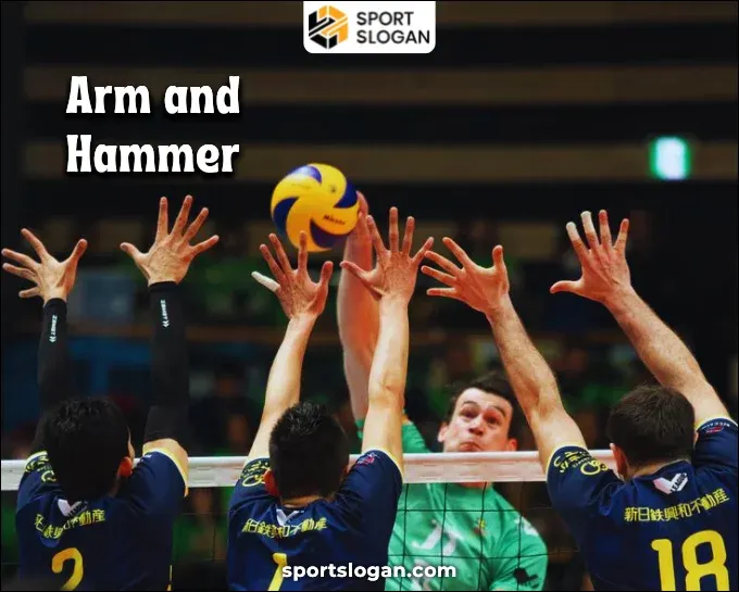 Cool Volleyball Team Names