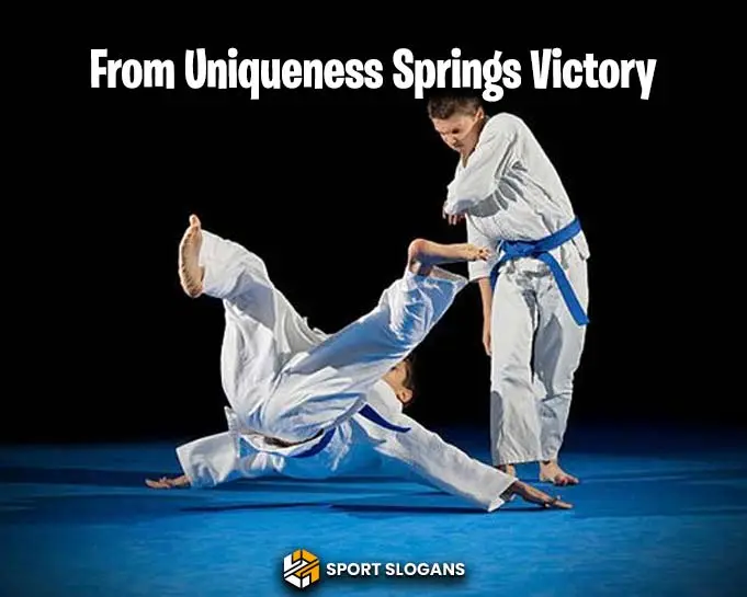 Fantasy-Judo-Slogans