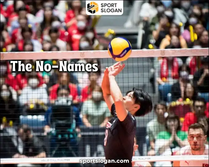 Fantasy Volleyball Team Names
