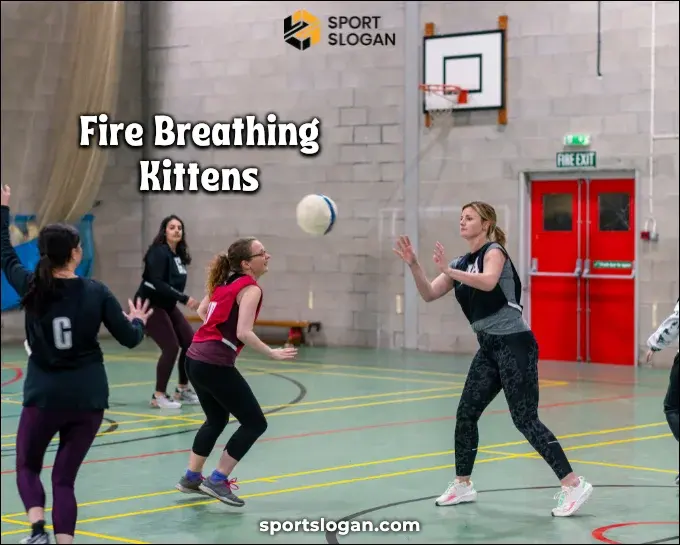 Funny Netball Team Names