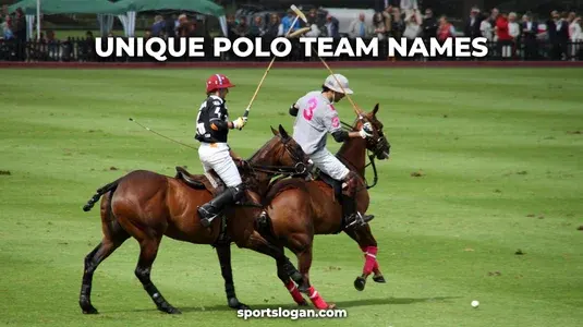 175 Unique Polo Team Names (Funny, Cool, Best Ideas)