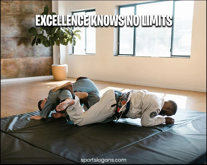 Funny-Taekwondo-Slogans