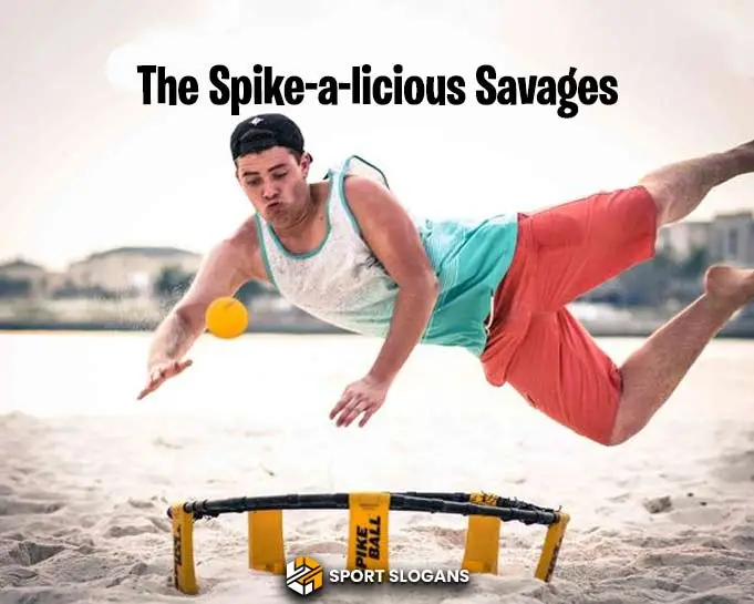 Catchy-Spikeball-Team-Names