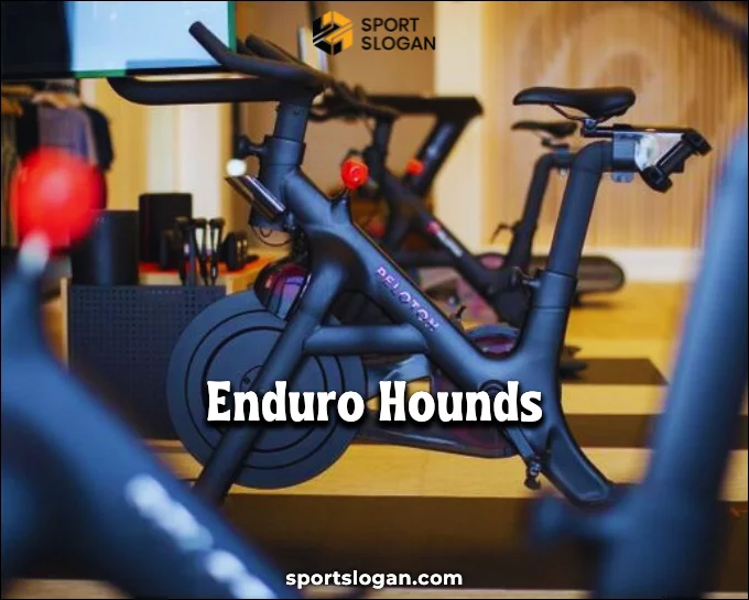 Funny Peloton Team Names