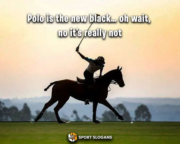 Polo Captions For Facebook