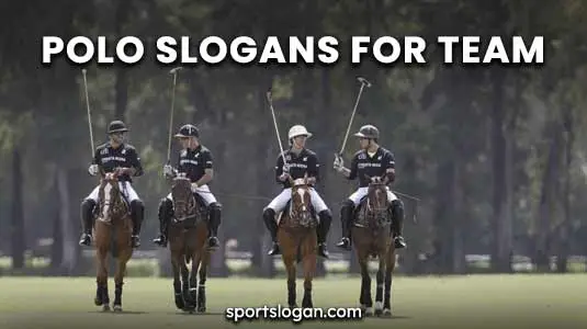 450 Polo Slogans Ideas & Polo Slogans For Team