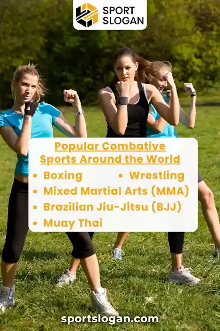 Popular Combative Sports Around the World