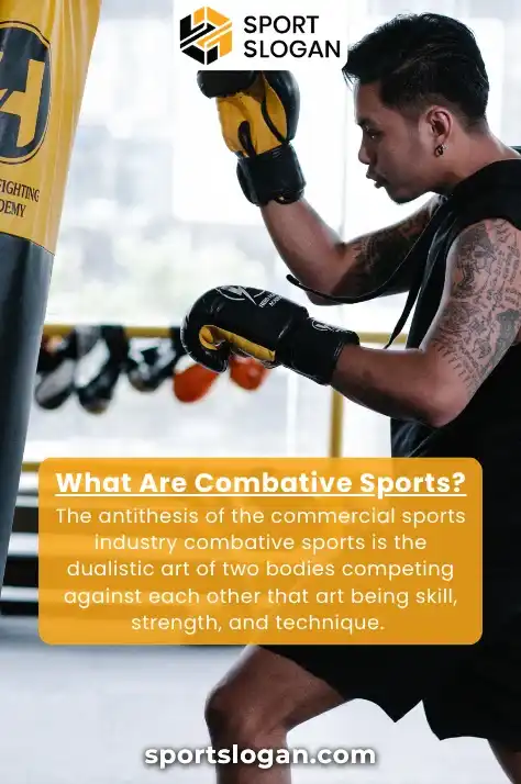 What Are Combative Sports
