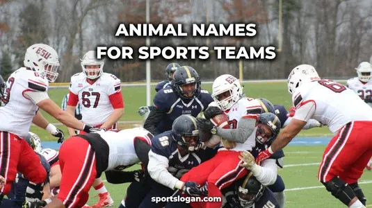 Top Animal Names for Sports Teams | Powerful Team Name Ideas
