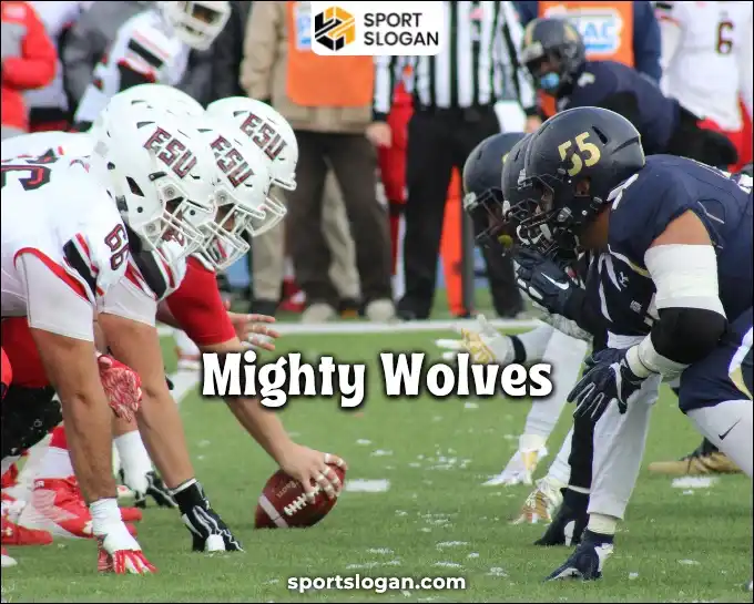 Creative Animal Team Name Combinations