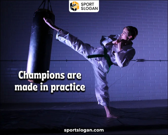 Inspirational Taekwondo Captions