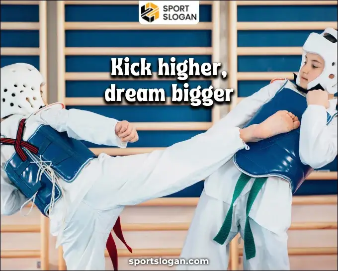 Motivational Taekwondo Captions