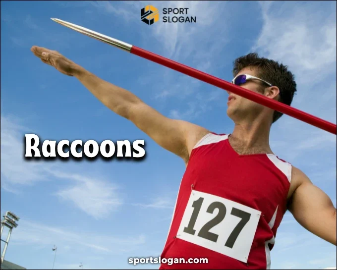 Types of Animal Names for Sports Teams