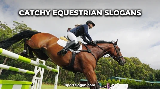 200 Catchy Equestrian Slogans for Horse Lovers