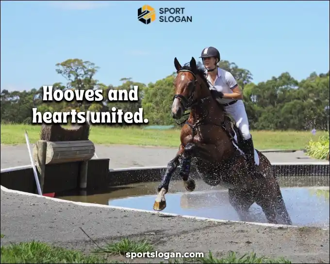 Equestrian Team Slogans