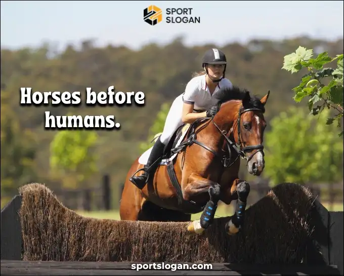 Funny Equestrian Slogans