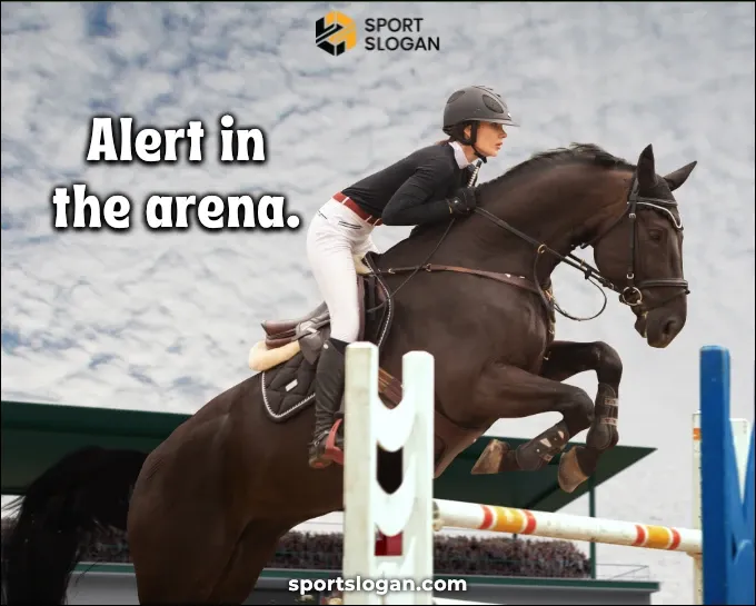 Horse Riding Safety Slogans